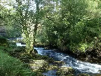 Lorna Doone House