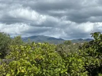 New and Modern; Historic District home with Ski Mtn Views,  A/C, walk to Plaza - Bungalow
