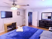 Spacious Skylit Seaside Stay - Walk to Bay & Beach - King Bed, Parking, Patio - Family