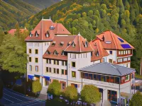 Hotel Rina Cerbul Hotels near Peles Castle