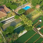 Kampung Halaman Villas