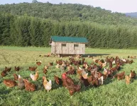 Farm Stay in Catskills FarmHand Cabin