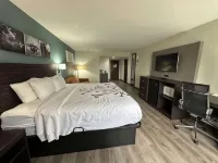 派因維爾 - 亞歷山卓舒眠套房飯店 - 2 星級