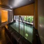 Super Hotel Fujinomiya - con terme