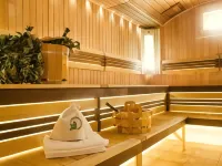 Sova Park-Hotel Hotels in Ryazan