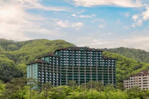 소노캄 비발디파크