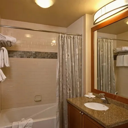 Village at Palisades Ski-in Ski-Out One Bedroom Condo Mt. View Unit -2nd Floor
