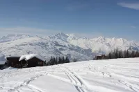 Les Arcs 1800: House with garden - Chalets