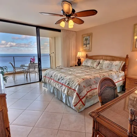 Oceanfront and Turtle Watching from 11 Floor Luxury Condo Ka'Anapali Beach!