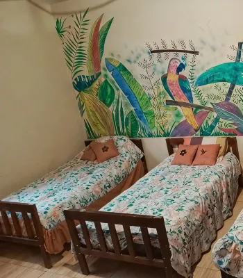 The Jungle Vacation Home - Wifi