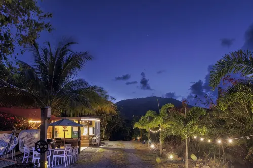 Turtle Nest Family Glamping Site with AC