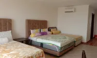 2 Br  Executive Room Beach View Apartemen Marbella Anyer - Beach