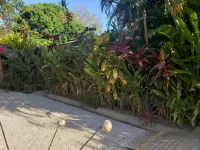Cote Pacific Casitas - Vila