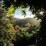 Agriturismo Il Melo Rosso - Rumah Pertanian