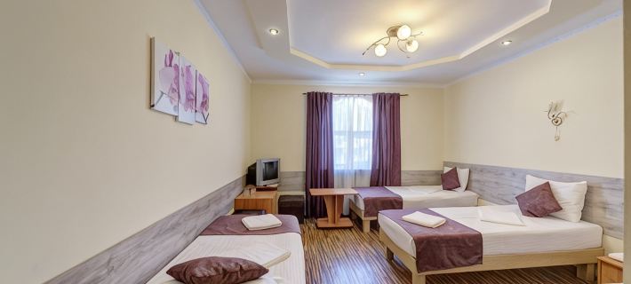 Zamok Hotel Hotels in Volgograd