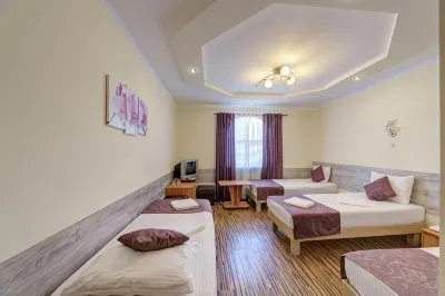 Zamok Hotel Hotels in 