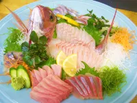 TOSAWAYA旅館 沼津市住宿飯店