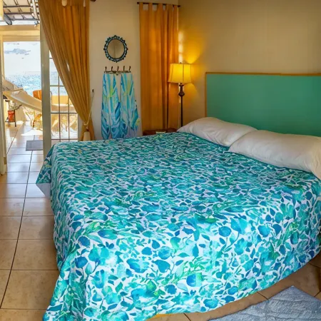 Villa Alma - Oceanfront - 10 guests - pet friendly - at Stella, Rincón