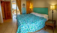 Villa Alma - Oceanfront - 10 guests - pet friendly - at Stella, Rincón