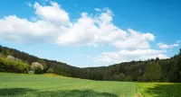 Modern furnished apartment in the green heart of Lower Franconia - Homestays