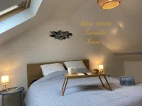 T3 duplex hyper center fort mahon 700 meters from the beach close to all shops. - 公寓
