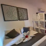 سولار أجوا بيبا ستايز