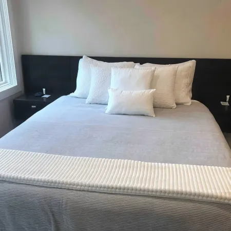 Cozy Modern Cabin wt Pool, Hot Tub, Fire pit and Goats, Alpacas, Chickens & Emus