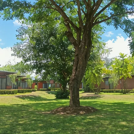 Akkara Resort&Villa Отели рядом с достопримечательностью «Парк развлечений Singha Park»