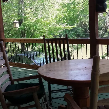 Wild Bills Riverfront Escape - Garden hot tub Hotels in Cowee