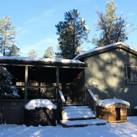 Green Elk Retreat Cabin, Cozy Cabin - large side yard with wildlife
