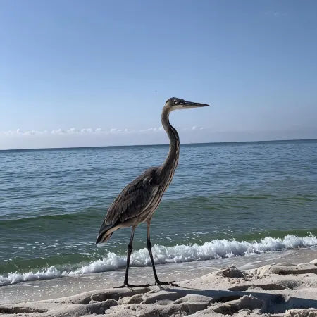 Stunning Beach Front Condo - L@@K - MUST SEE