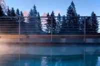 Sayonara Nature & Wellness Hotel - Uima-altaat