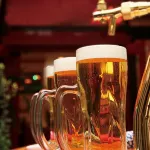 Hiroshima Airport Hotel - bar