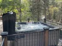 Water Front Updated Cabin Close to Estes Park New Hot Tub 3 Private Acres - Chalets