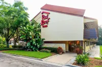 Red Roof Inn Tampa Fairgrounds - Casino - 2 Yıldız
