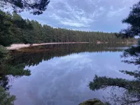 Charming Swedish cottage in dreamlike nature with lots of peace and quiet - Homestays