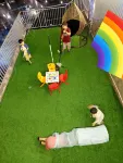 오렌 카서리 - 3성급