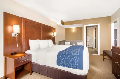 Comfort Inn & Suites Отели рядом с достопримечательностью «Колледж Медисин-Хат»