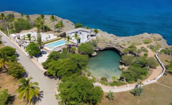 a large , modern house with a pool and palm trees is situated on a cliff overlooking the ocean at Hotel Bocaino
