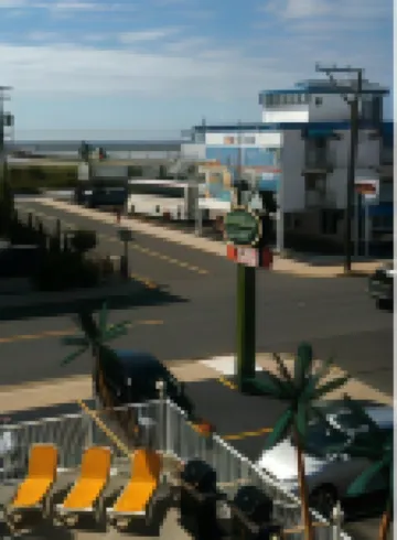 American Safari Motel