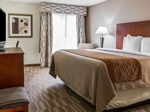 Comfort Inn & Suites University South