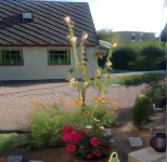 Vivans Bed and Self Catering Các khách sạn ở Kristianstad