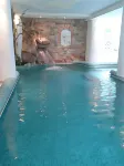 Hotel des Alpes - spa