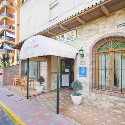 Hostal Los Corchos Hotel Exterior