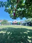 Dardanos Pension