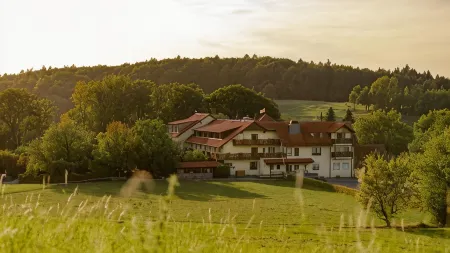 Landhotel Kuralpe Kreuzhof Отели в г. Линденфельс