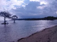 Coconhuts Beach Resort - Pet-friendly