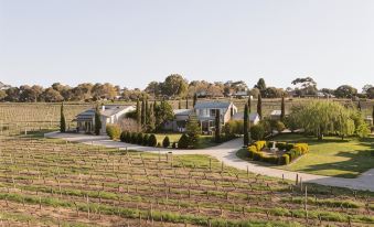 Barossa Shiraz Estate