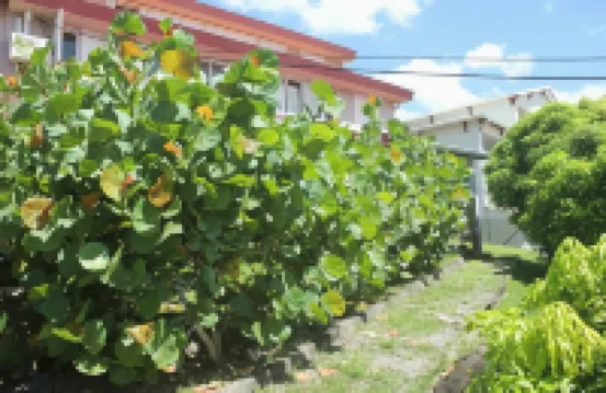 Suite Relax & Business Fdf Hotels in 