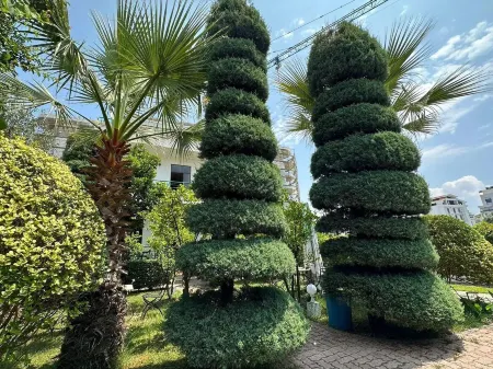 A.Vila Отели рядом с достопримечательностью «Venetian Tower of Durrës»